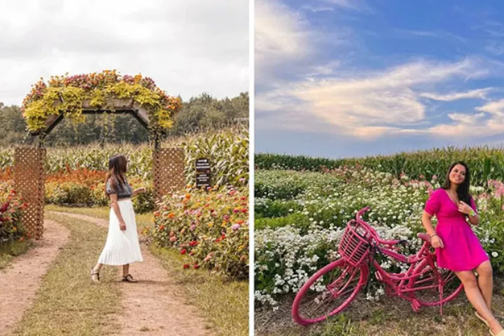 از جشنواره گل‌ها در یک‌ساعتی مونترال دیدن کنید و به سلیقه خودتان گل بچینید